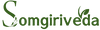 Somgiriveda